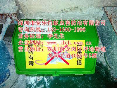 坪山專業除蟲滅鼠、白蟻防治