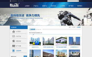 標頂官方網(wǎng)站設計制作 成功案例 沙漠風網(wǎng)站建設公司